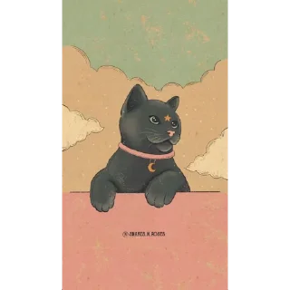 ✨