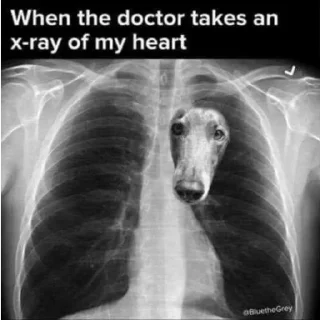 ❤️