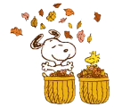 🍂