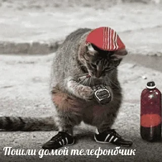 😺