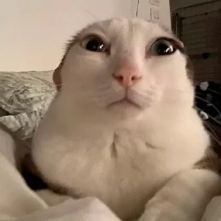 😳