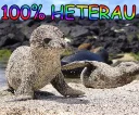 👨‍❤️‍👨