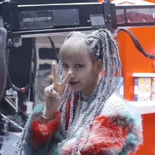 ✌