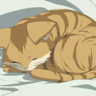 💤