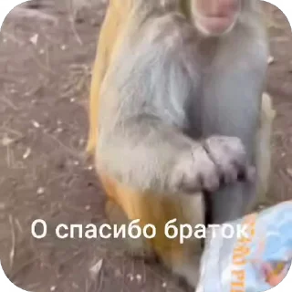 😯