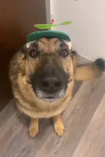 🙂