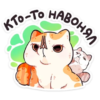 🐱