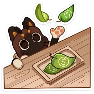 💰