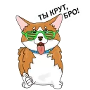 😎