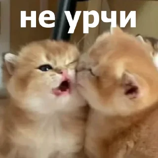😚