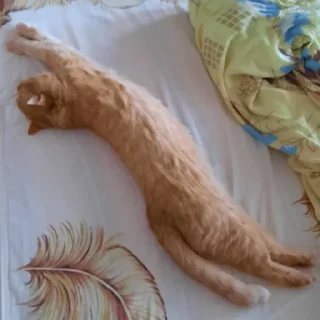 🌞