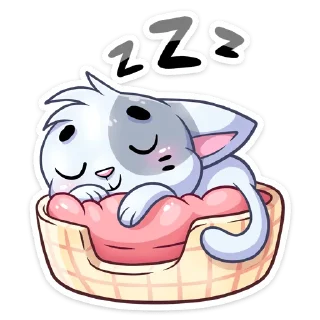 😴