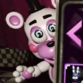 🦩