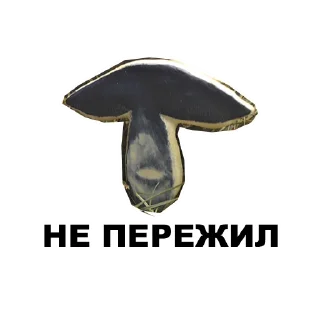 🍄