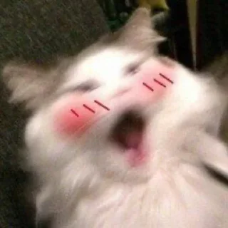 😭