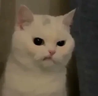 😡