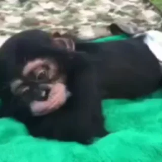 🥱