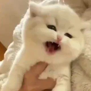 😫