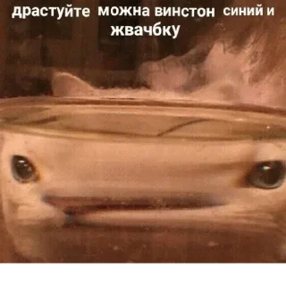 🚬