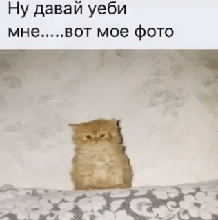 🥺