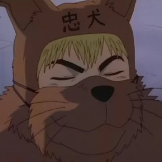 🐶