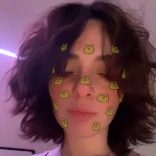 😽