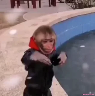 🥶