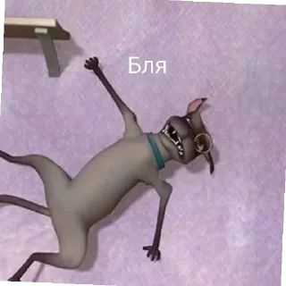 😶