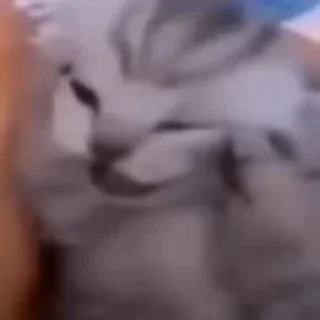 😨