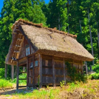 🏡