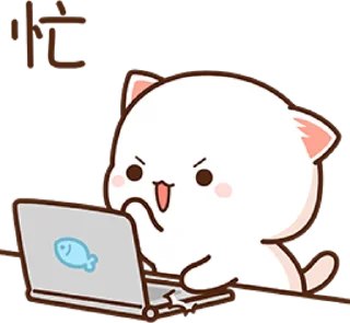 💻