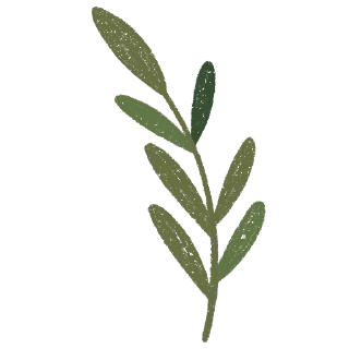 🌿