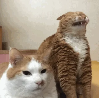 😬