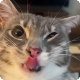 🧌