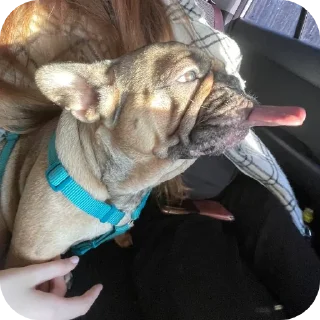 😎