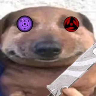 🫣