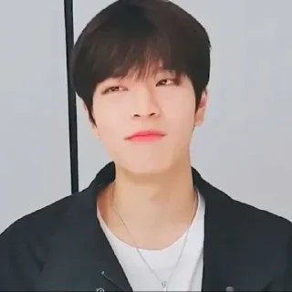 🐶