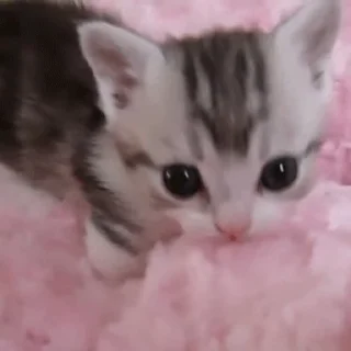 🥹
