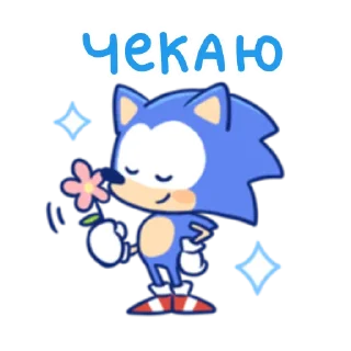 🌼