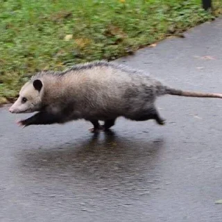👋