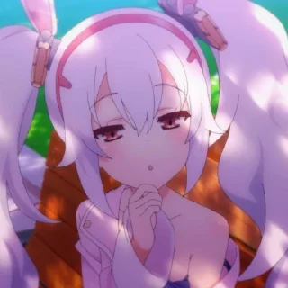 🐇