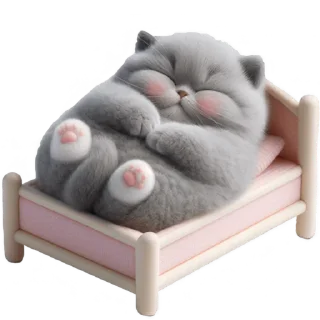 😴