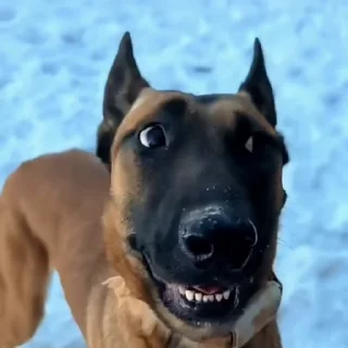😨