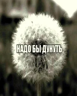 🧂