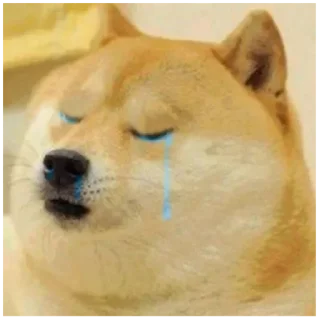 😭