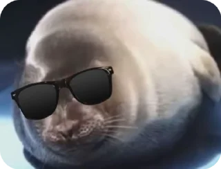 😎