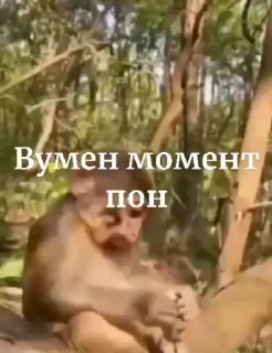 👩