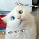 😳