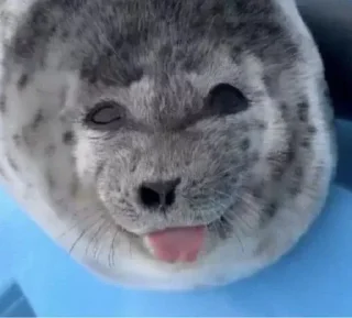 😛