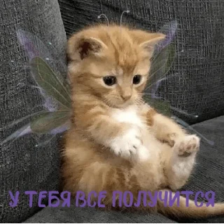 🙌